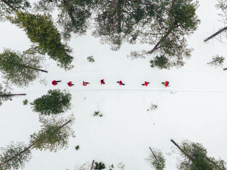 Groepsreis Noorderlicht Avontuur In Zweeds Lapland